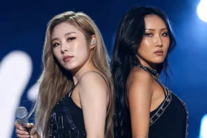 Concert stage spotlight representing MAMAMOO fan discussion around Wheein and Hwasa