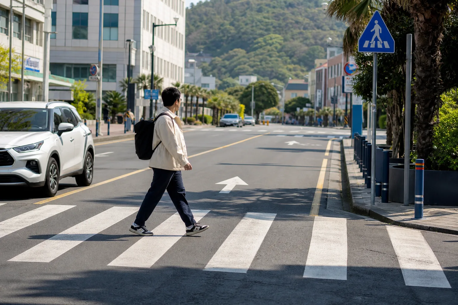 Emergency response on a Jeju street after a minor celebrity traffic accident